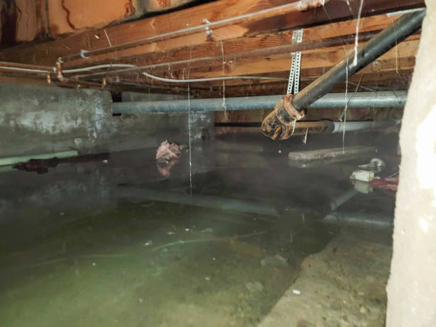 Reliable IA Water damage restoration Solutions