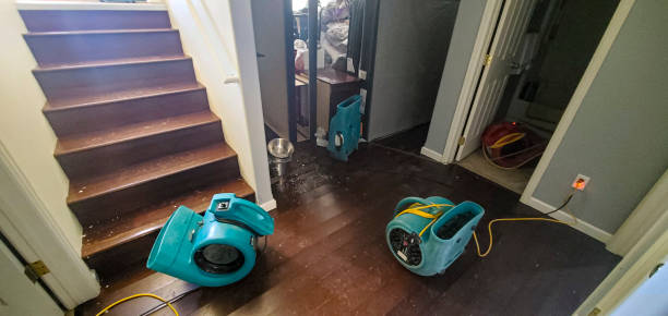 Best Mold removal after water damage  in Prairie City, IA