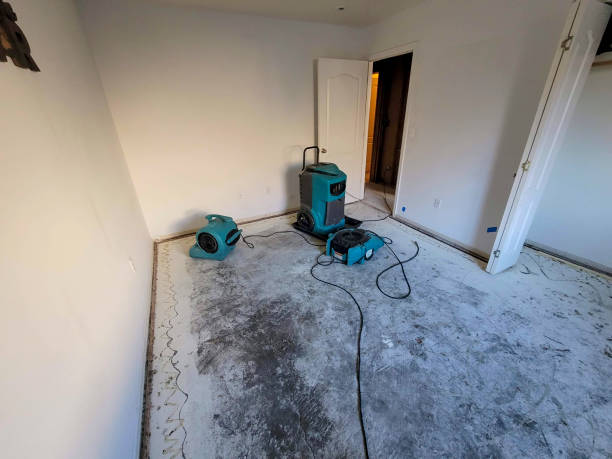 Best 24/7 water damage repair  in Prairie City, IA