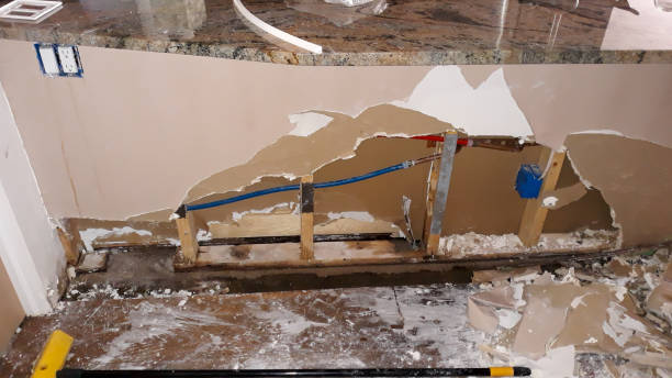 Best Carpet water damage restoration  in Prairie City, IA