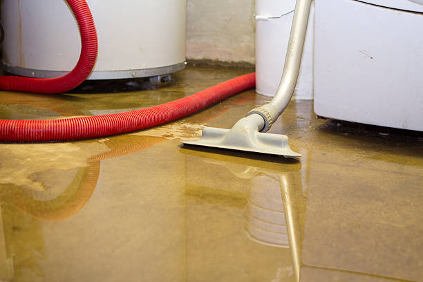 Best Water damage restoration services  in Prairie City, IA
