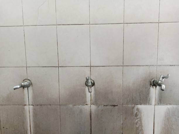 Best Emergency water extraction  in Prairie City, IA