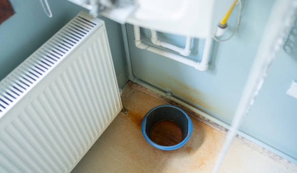 Best Local water damage restoration  in Prairie City, IA