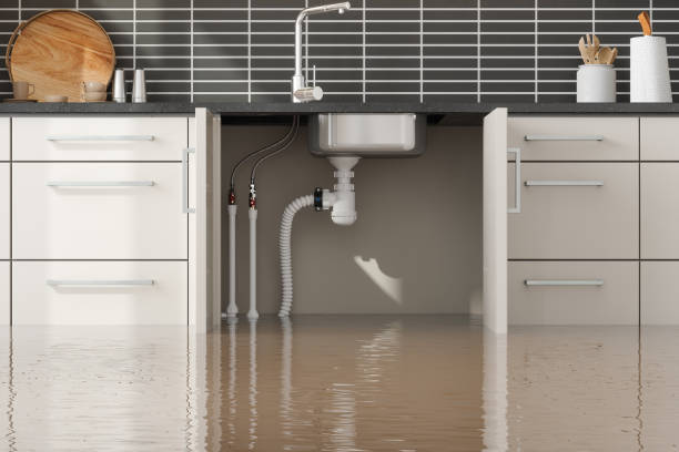  Prairie City, IA Water damage restoration Pros