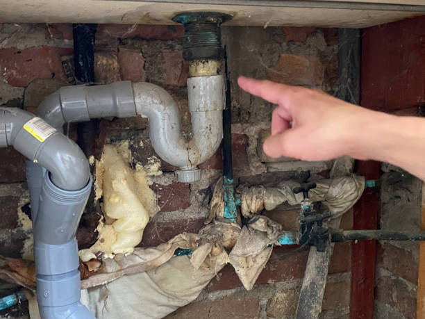 Best Flood damage cleanup  in Prairie City, IA