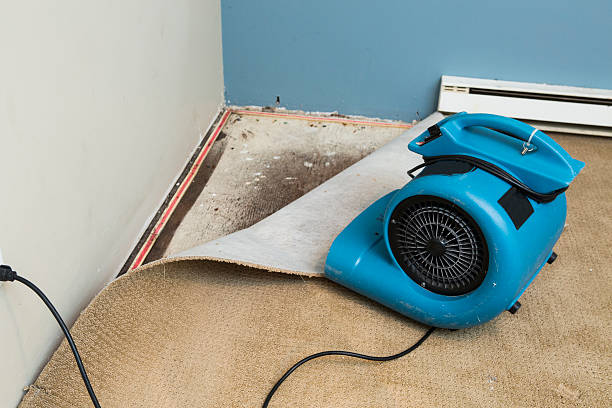 Best Basement water damage restoration  in Prairie City, IA